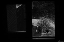 dailyPhoto28